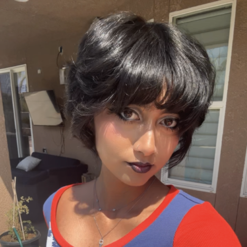 Araina Vohra profile photo
