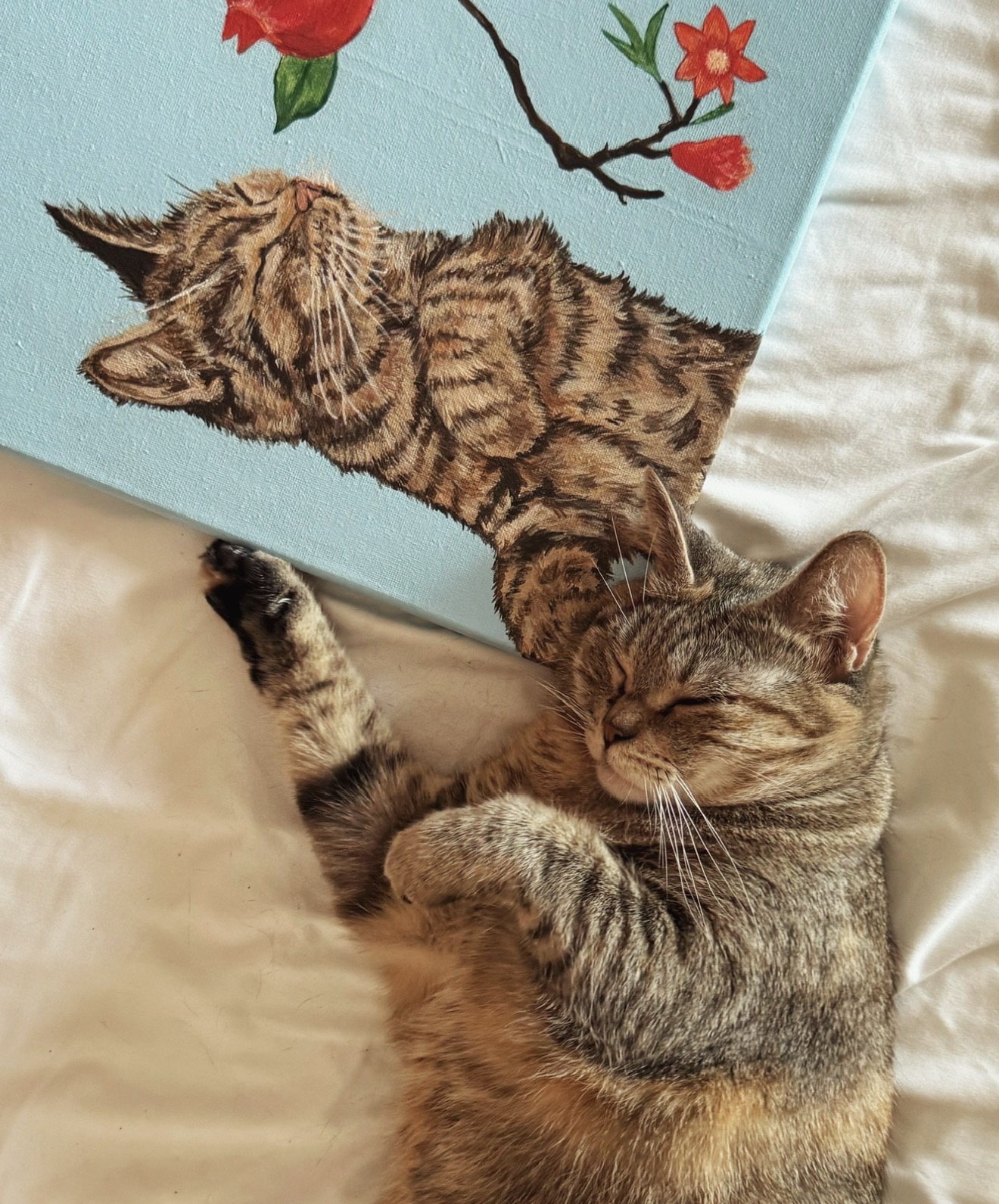 cat