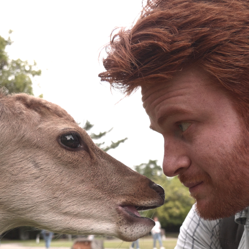 Timothy J. Aveni profile photo